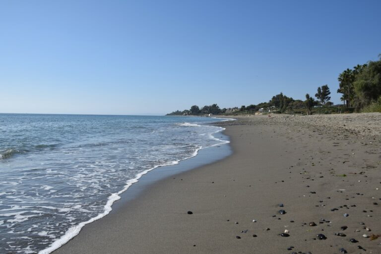 El Velerín Beach in Estepona